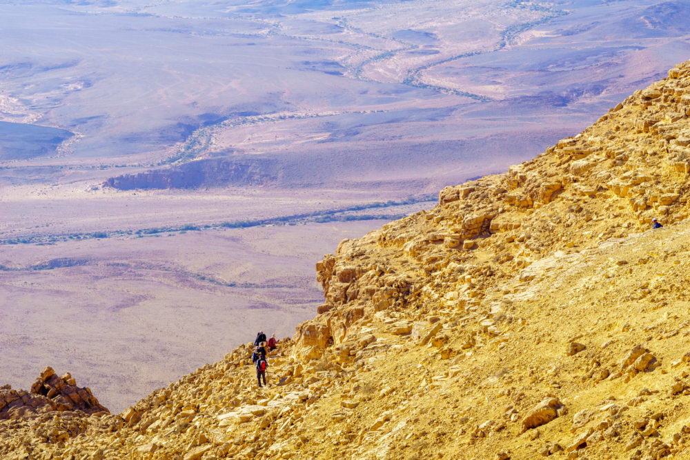 The Negev Craters
