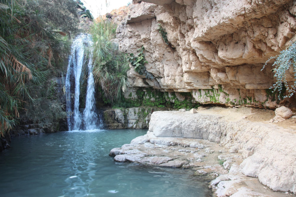 Waterfall and Pool - Ein Gedi
