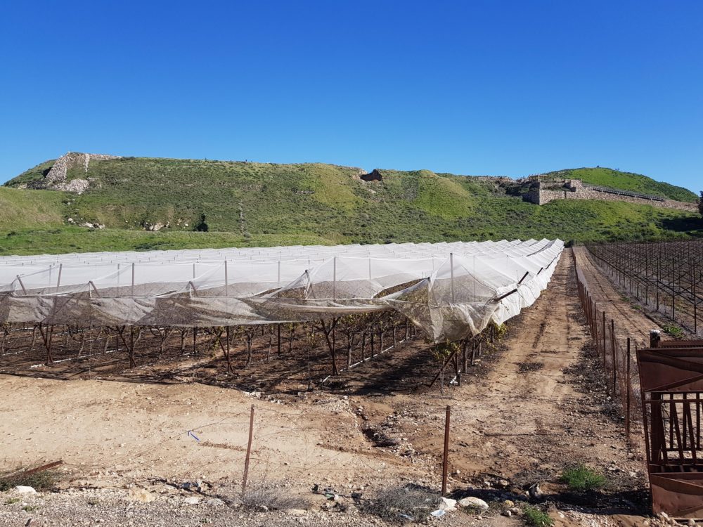 Lachish – a lost city